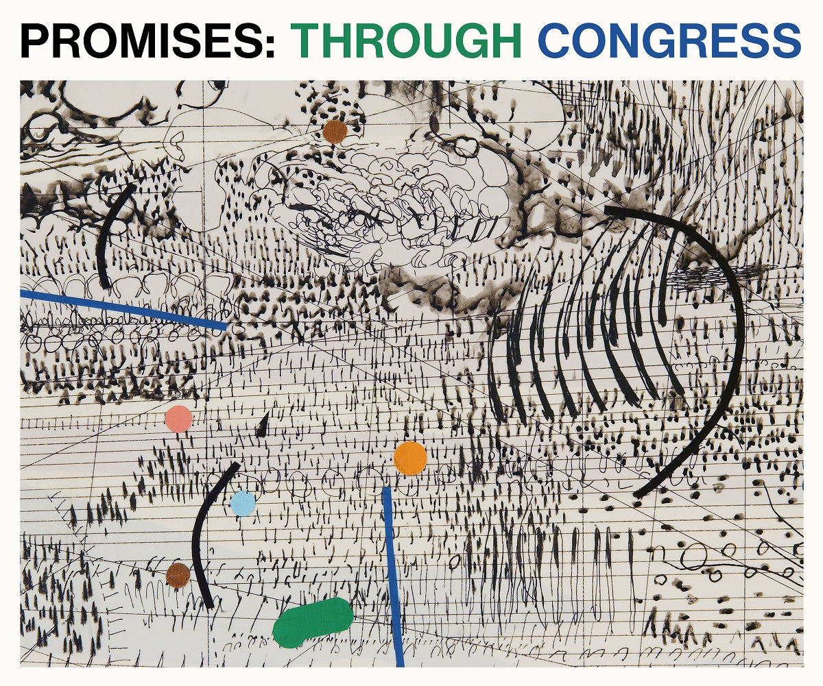 Promises: Through Congress